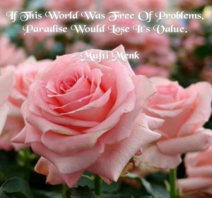 If this world was free of problem, paradise would lose its value, mufti menk